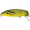 Rapture Grasshopper Springer
