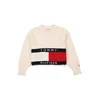 TOMMY HILFIGER Pulover HERITAGE marine/rdeča/bela