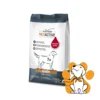 Platinum Dog VetActive Senior 5kg, Hrana Za Starije Pse, Za Bolje Varenje