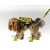 Žute cipele za pse - Yellow Dog Shoes