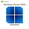 Microsoft Windows Svr Std 2025 64Bit English 1pk DSP OEI DVD 16 Core EP2-25187