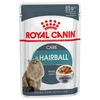 Royal Canin kesice Hairball care - sosić 12x85g