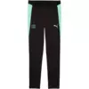 Puma Hlače Switzerland Training w/ pockets