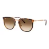 Ray-Ban Naočare za sunce RB 4451 680451
