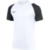 Nike Dres Dri-FIT Academy II