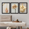Wallity Set uramljenih slika 3SC_2563318 , 3 Dela