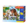 Castorland - Puzzle Best Friends - 95-108 kosov