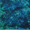 Ichiko Aoba - Luminescent Creatures (LP)