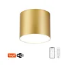 Immax NEO 07318L - LED prigušiva stropna lampa RONDATE 32W/230V 16,5 cm Wi-Fi Tuya zlatna