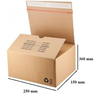Škatla paketna samolepilna sendbox 250x150x360mm s51