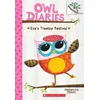 Evas Treetop Festival: A Branches Book (Owl Diaries #1)
