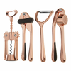 Kovinski komplet kuhinjskih pripomočkov 4 ks Paragon – Premier Housewares