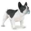 Papo črno-beli francoski buldog 54006