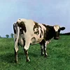Pink Floyd - Atom Heart Mother (180 g) (LP)
