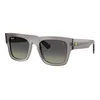 Ray-Ban RB2217M F70411