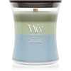 Woodwick Trilogy Verdant Woods dišeča sveča z lesenim stenjem 275 g