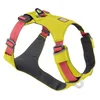 Ruffwear Hi & Light oprsnica za pse, Lichen Green - L/XL