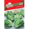 Seme Royal 79, solata sucrine