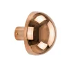 OPVIQ Zidna lampa Fungal 13361 C