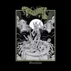 Kadavar - Live In Copenhagen (Limited Edition) (Gatefold Sleeve) (Transparent Black/Clear/Red Coloured) (2 LP)