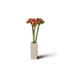 Botané umetni šopek dekorativni 73 x 20 cm