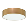 Plafonska lampa CLEO 2xE27/24W/230V, fi 30 cm, zlatna