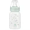 KikkaBoo flašica PP Savanna 120ml mint ( KKB22124 )