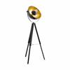 Eglo 49618 - Podna lampa COVALEDA 1xE27/60W/230V