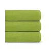 ZELENA BRISAČA 70x140 450G