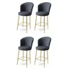 Hanah Home Set barskih stolica Alte, 4 komada, Antracit-zlatni