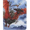 DS The Raid Card Codex Zipster Folio Shranjevanje kartic Igra