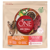 Purina ONE Mini Skin & Coat govedina - Varčno pakiranje: 2 x 1,5 kg