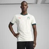 Mens Puma Côte dIvoire 2025 Away Jersey, White, Size 3XL, Clothing