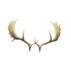 SRT 3D TARČA ŽIVALI rezervni rogovi - FALLOW DEER