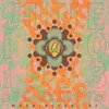 Grateful Dead - Rfk Stadium, Washington Dc, 6/10/73 (180 g) (8 LP)