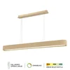 LED viseća lampa F2095-100VL SG