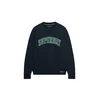 Superdry & Co Majica kremna / marine / smaragd