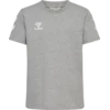 Go 2.0 Chevron