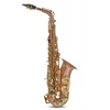 Saksofon Alt Eb Roy Benson AS-202G RB700.613