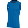 Majica brez rokavov Nike Academy 25 Tanktop