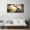 tulup.si Slika na akrilnem steklu Tree sončnimi žarki 100x50 cm 2 obešalnika