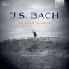 Johann Sebastian Bach & Luigi Attademo - Guitar Music (180 g) (LP)