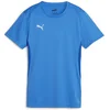 Dres Puma teamGOAL Jersey W