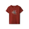 Calvin Klein Jeans Majica SEASONAL rjasto rjava/črna/bela