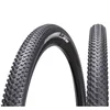 Chaoyang sp. guma - 29x2.0 h-5129 ( 124943 )