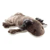 Plišasti aksolotl rjav 28 cm