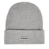 PINKO Kapa Bosnia 105993 A2Z4 Siva
