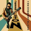 Jesse Dayton - The Hard Way Blues (Limited Edition) (Orange Coloured) (LP)