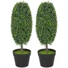 Homestar Set umetnih rastlin 2 kosa 60 cm zelena