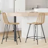 vidaXL Barski stol 2 pcs Naravna 44,5 x 54,5 x 97,5 cm Ratan in železo